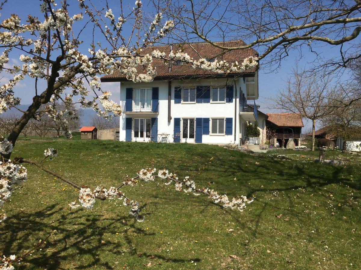 B&B Domaine En Trembley Commugny Экстерьер фото