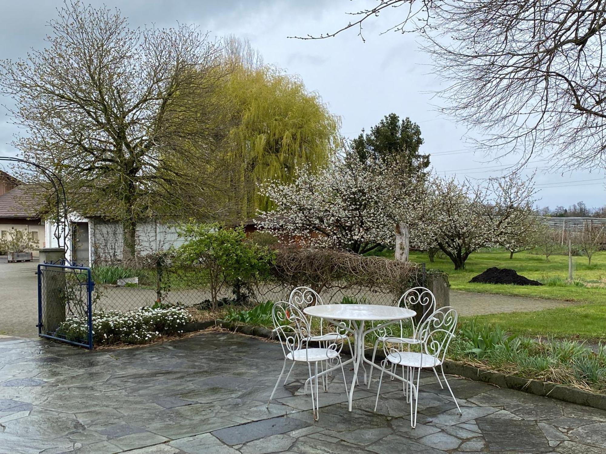 B&B Domaine En Trembley Commugny Экстерьер фото