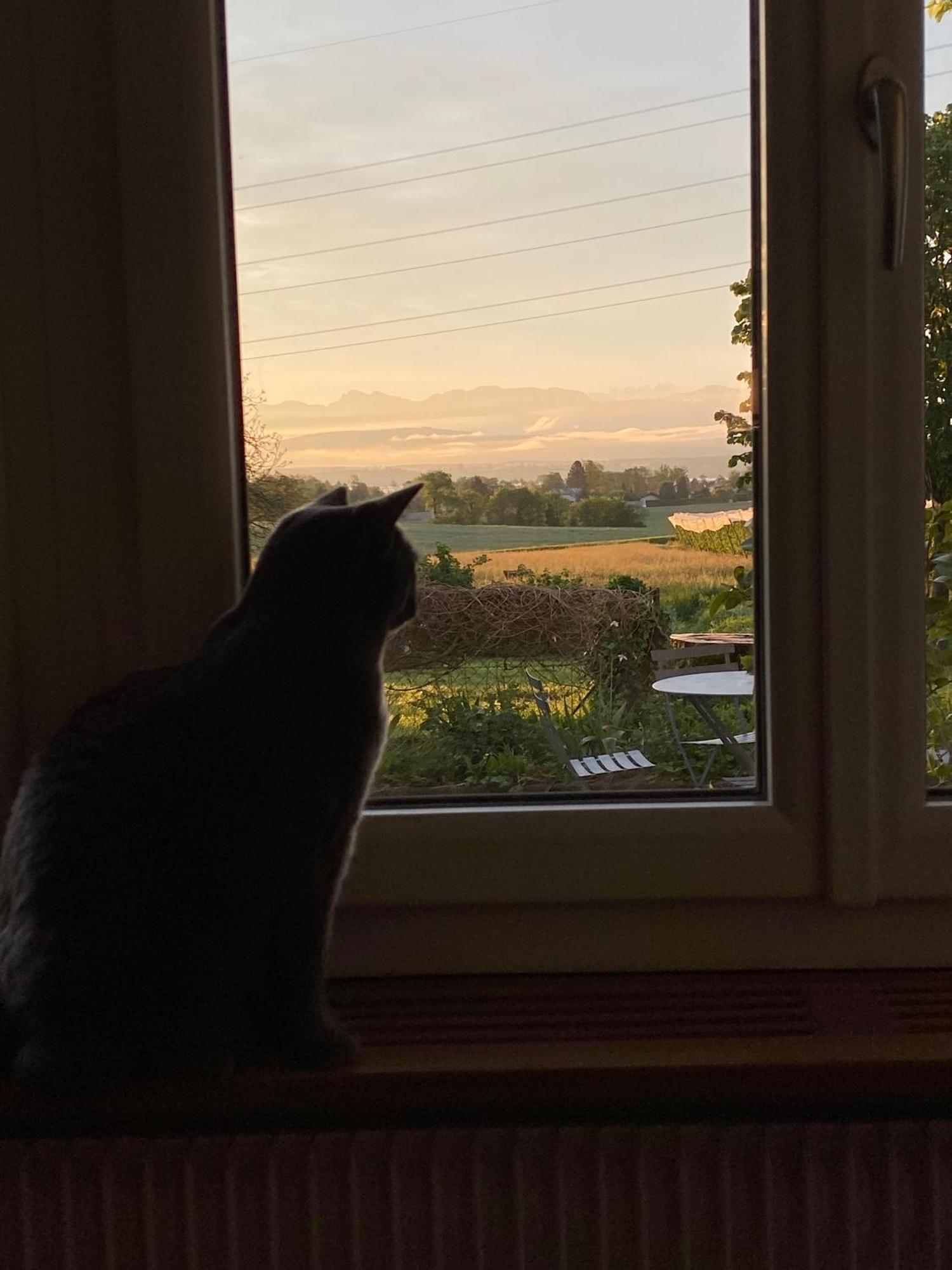 B&B Domaine En Trembley Commugny Экстерьер фото
