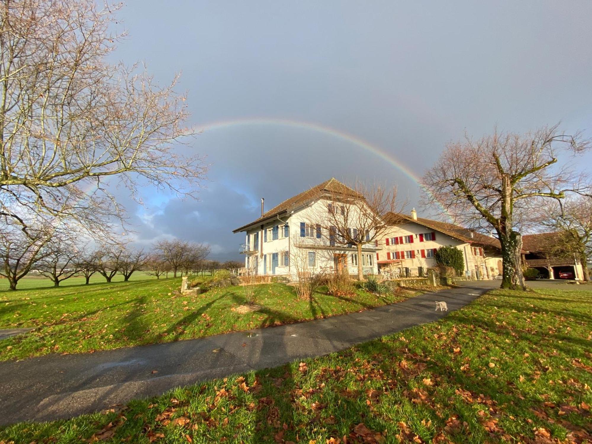 B&B Domaine En Trembley Commugny Экстерьер фото