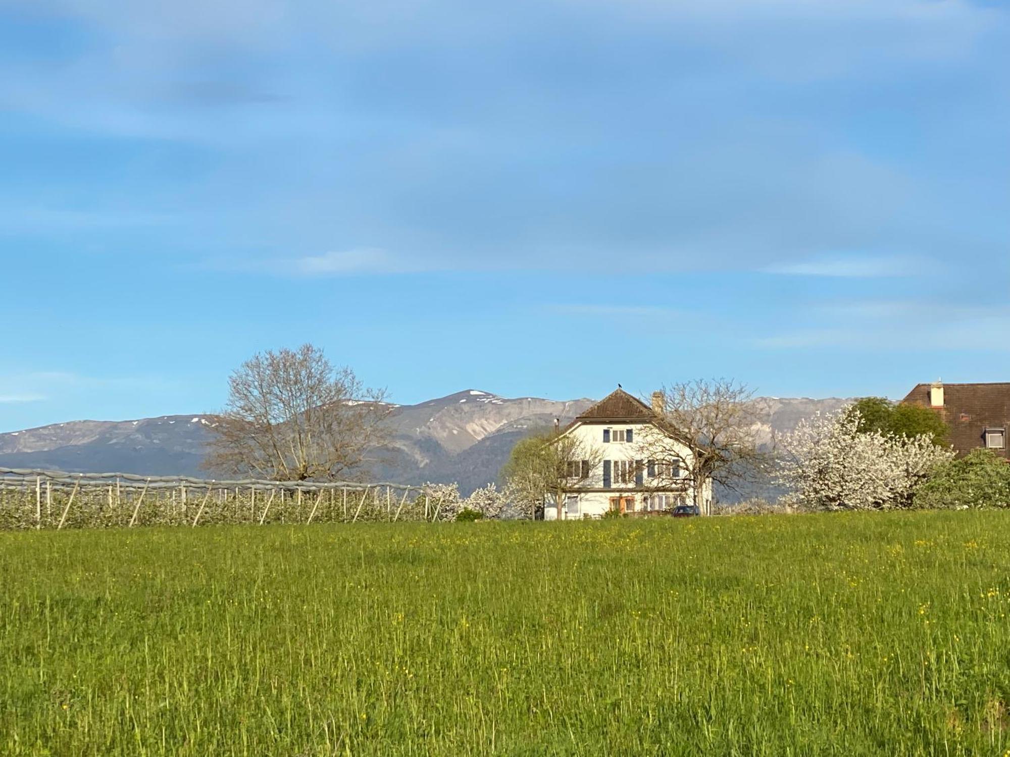 B&B Domaine En Trembley Commugny Экстерьер фото