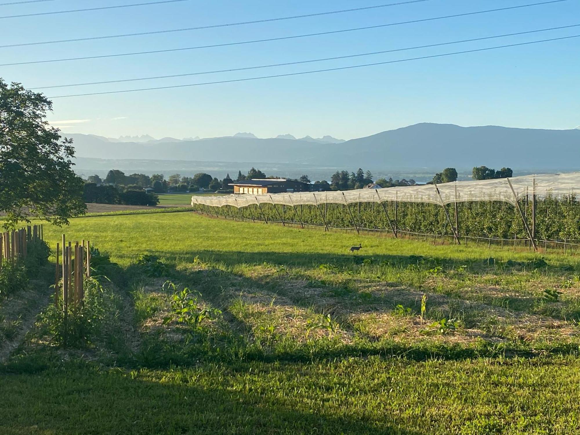 B&B Domaine En Trembley Commugny Экстерьер фото