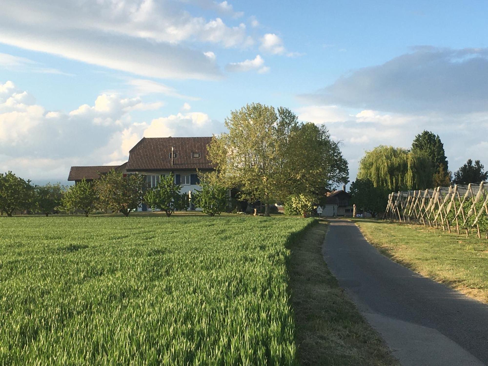 B&B Domaine En Trembley Commugny Экстерьер фото