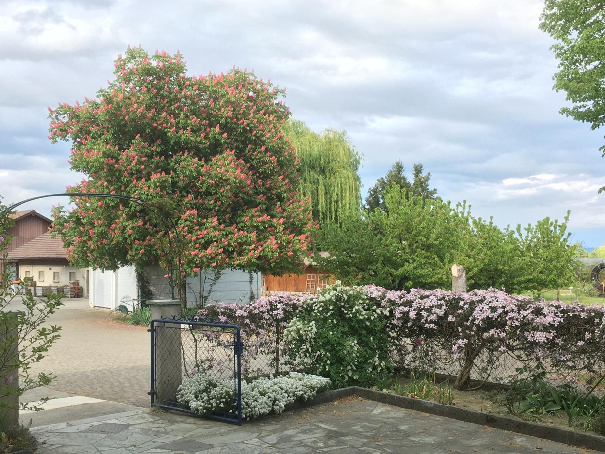 B&B Domaine En Trembley Commugny Экстерьер фото