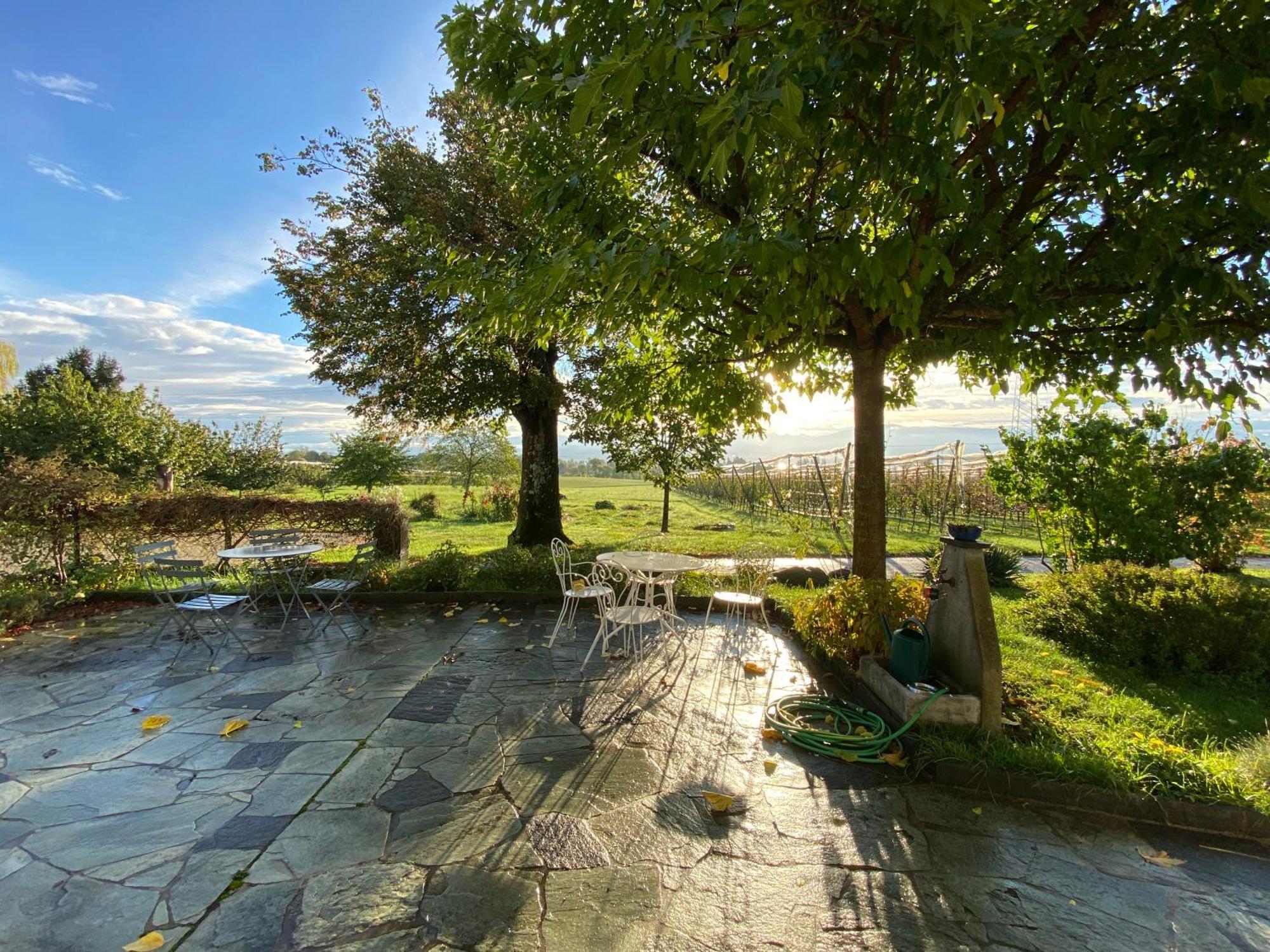 B&B Domaine En Trembley Commugny Экстерьер фото