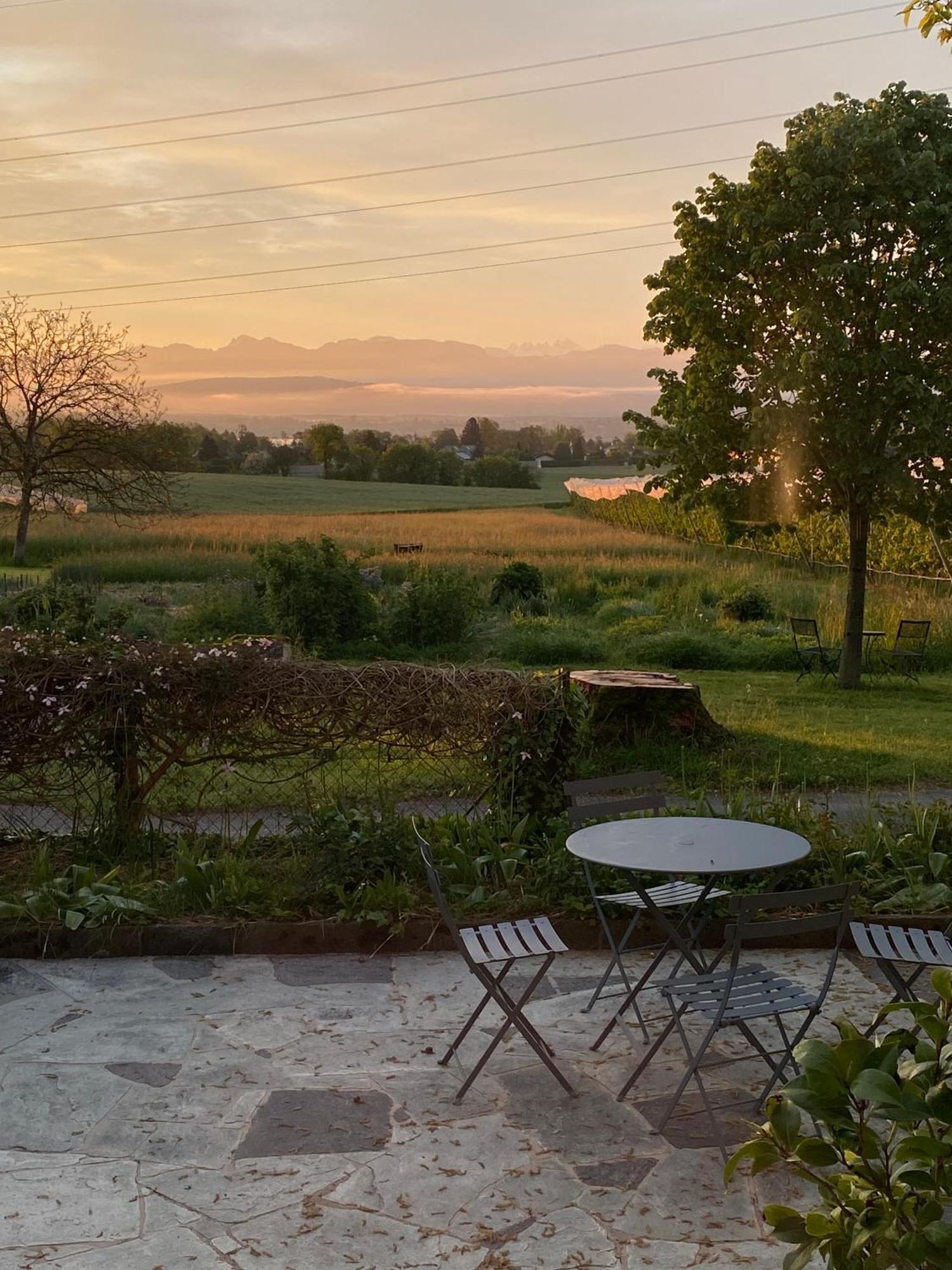 B&B Domaine En Trembley Commugny Экстерьер фото