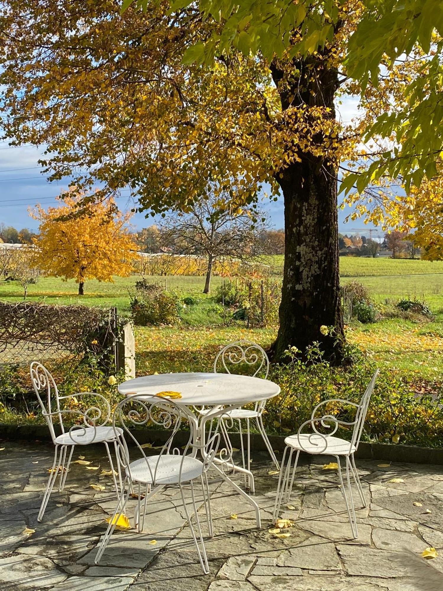 B&B Domaine En Trembley Commugny Экстерьер фото