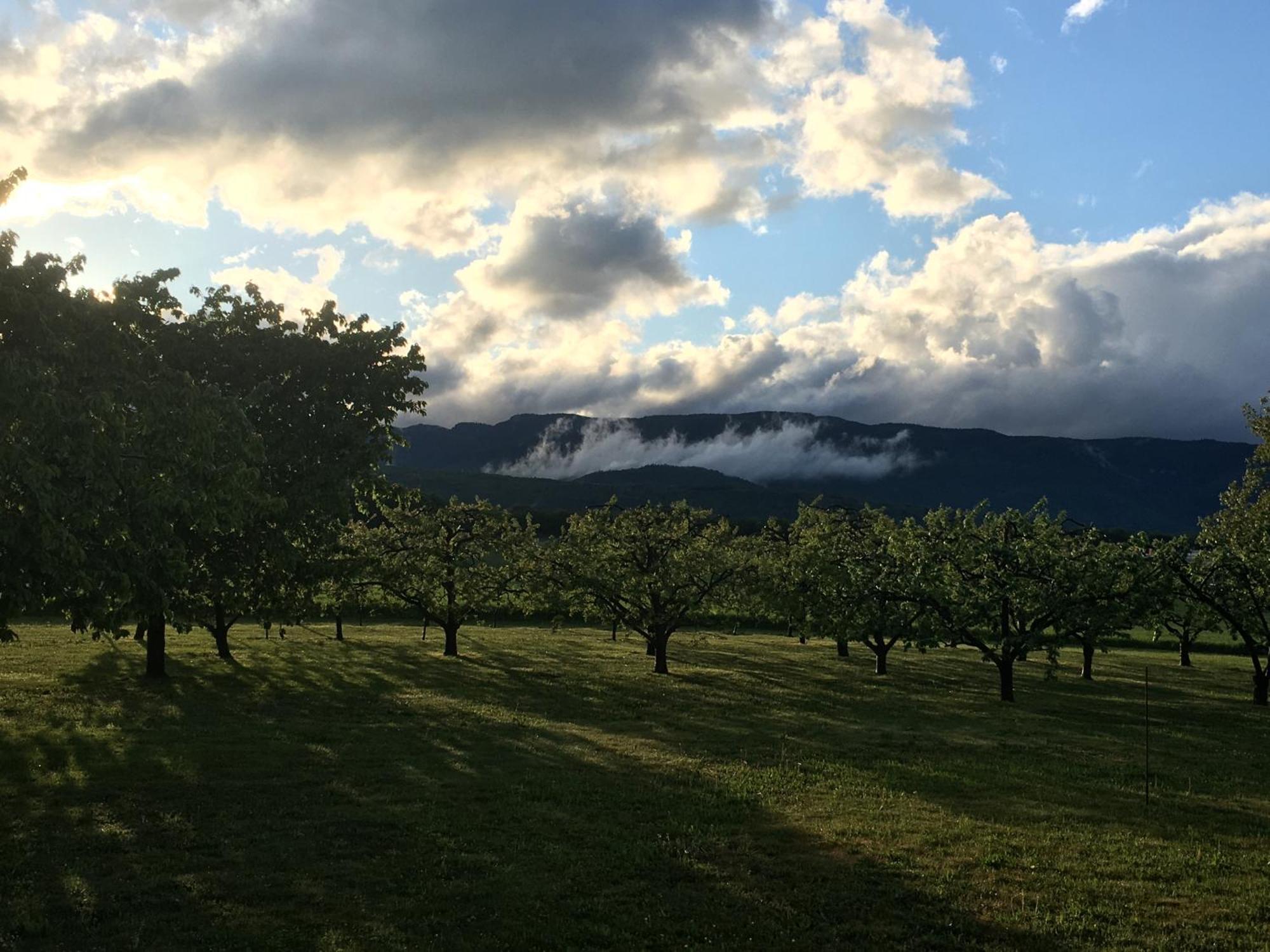 B&B Domaine En Trembley Commugny Экстерьер фото