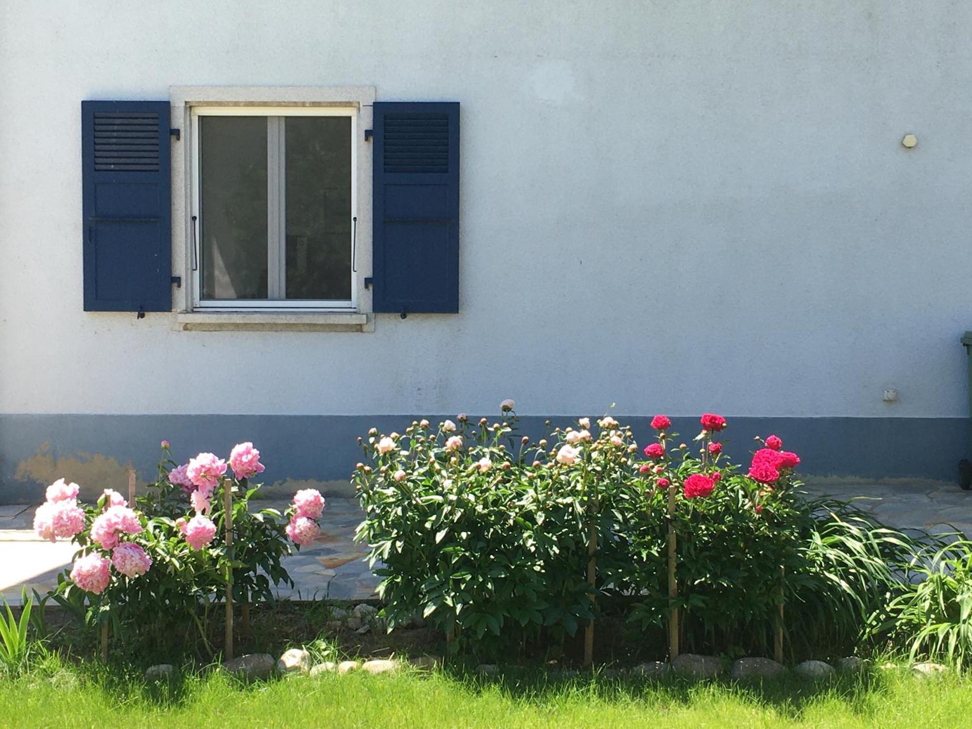 B&B Domaine En Trembley Commugny Экстерьер фото