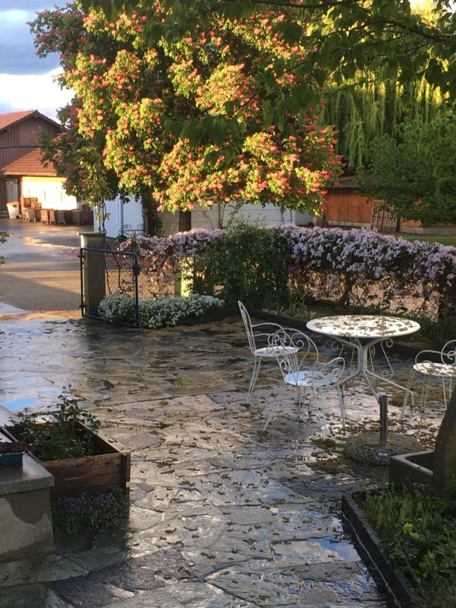 B&B Domaine En Trembley Commugny Экстерьер фото