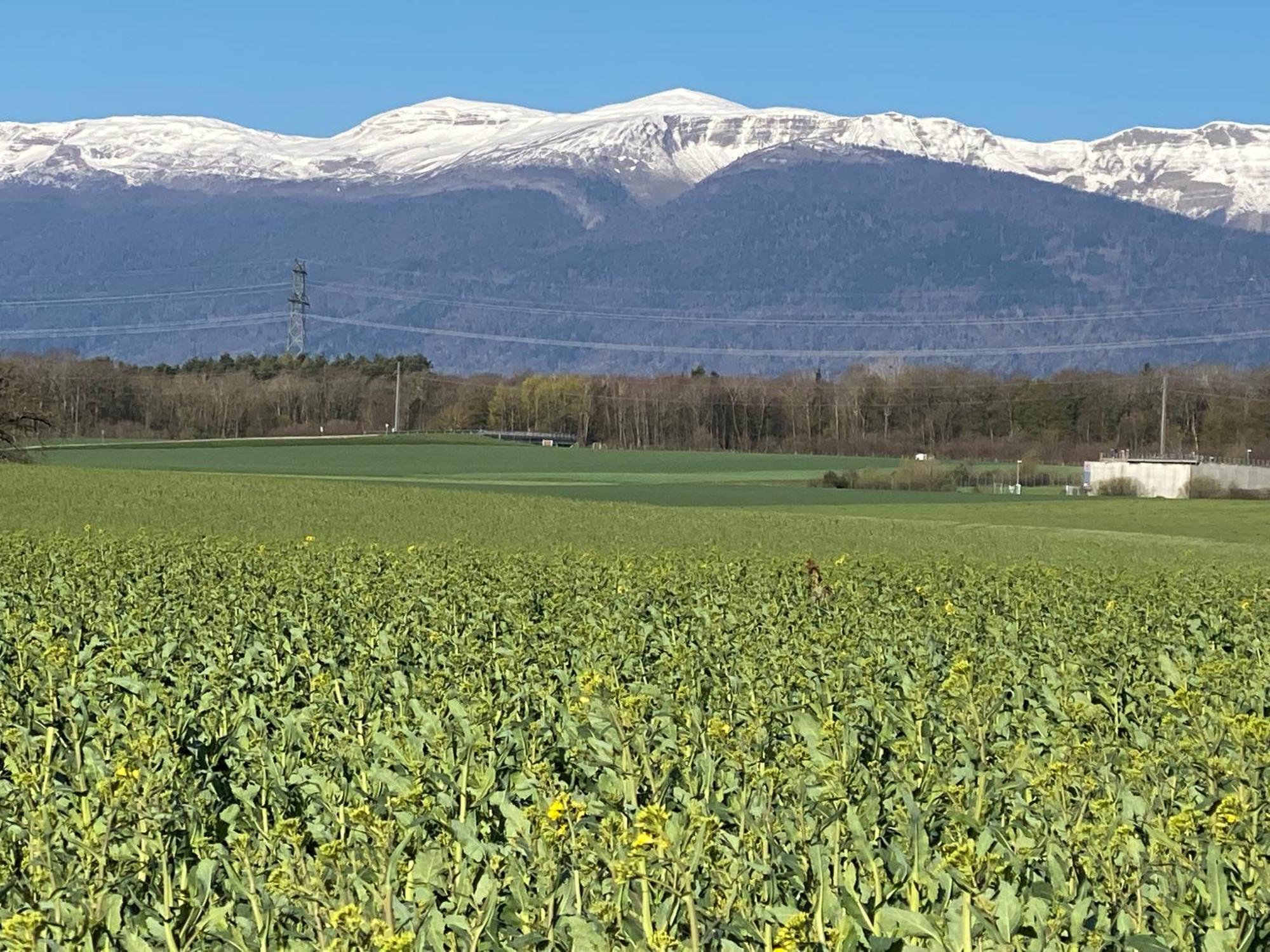 B&B Domaine En Trembley Commugny Экстерьер фото