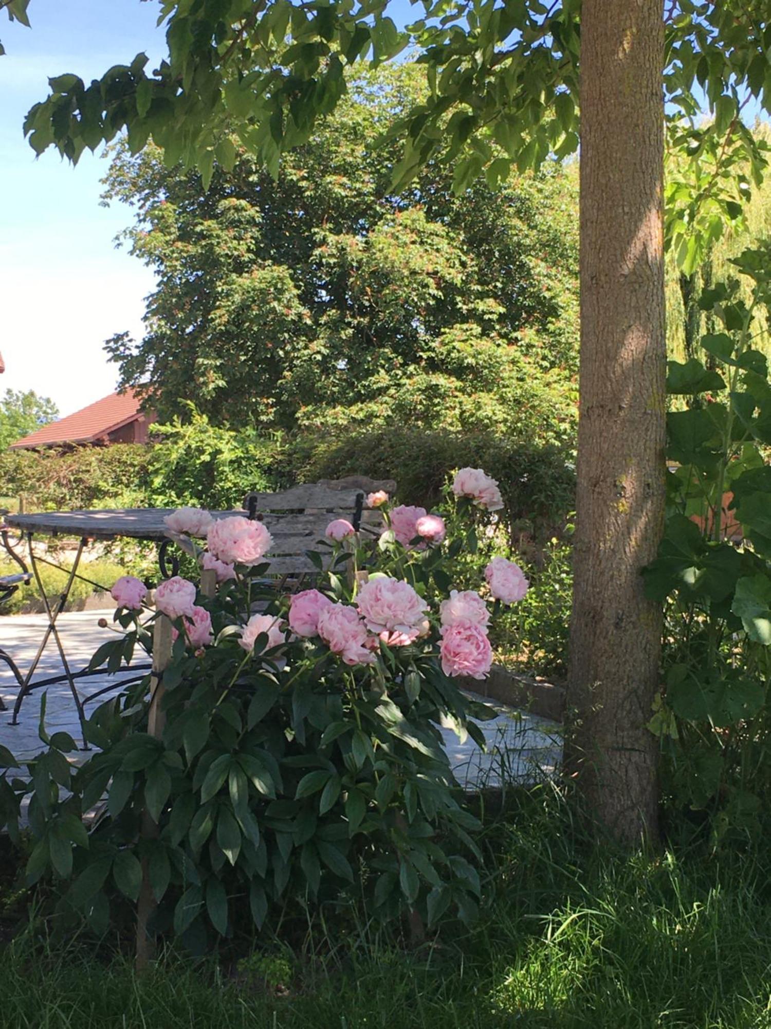 B&B Domaine En Trembley Commugny Экстерьер фото