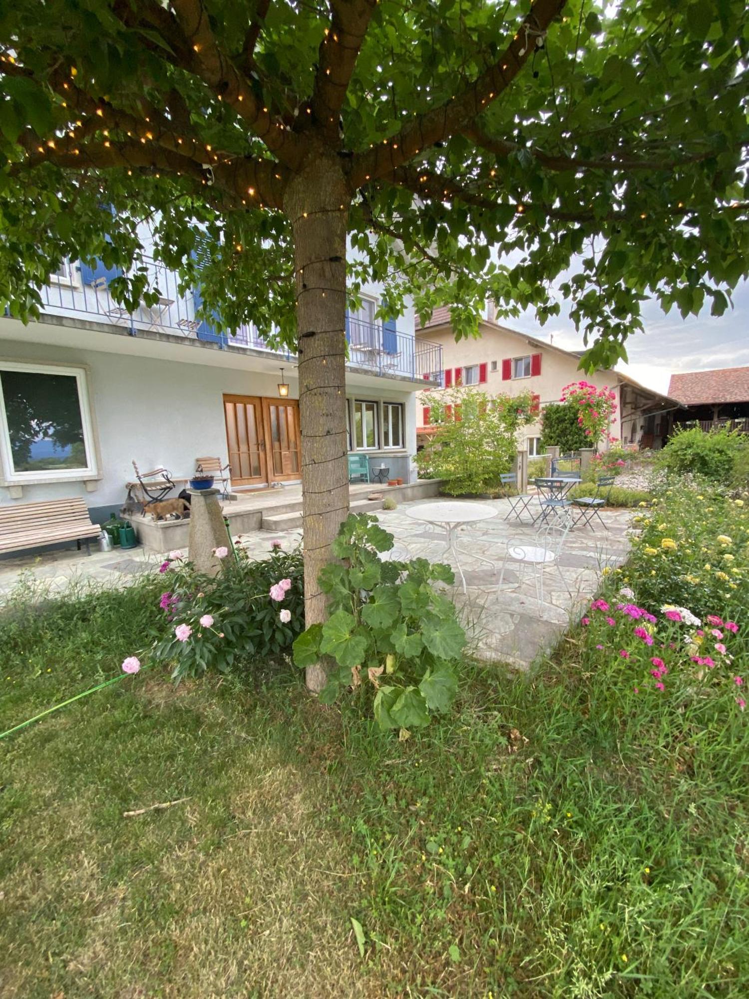 B&B Domaine En Trembley Commugny Экстерьер фото