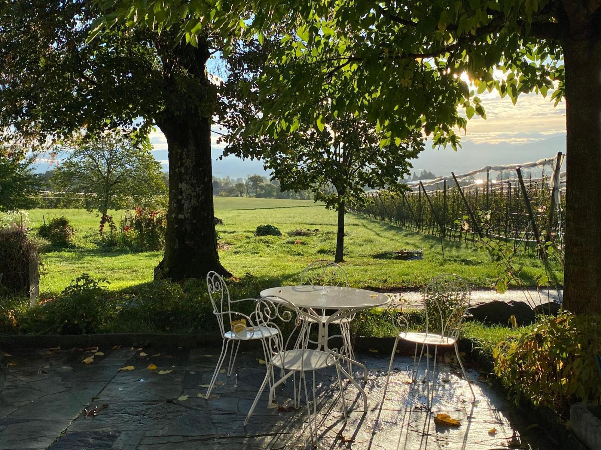 B&B Domaine En Trembley Commugny Экстерьер фото
