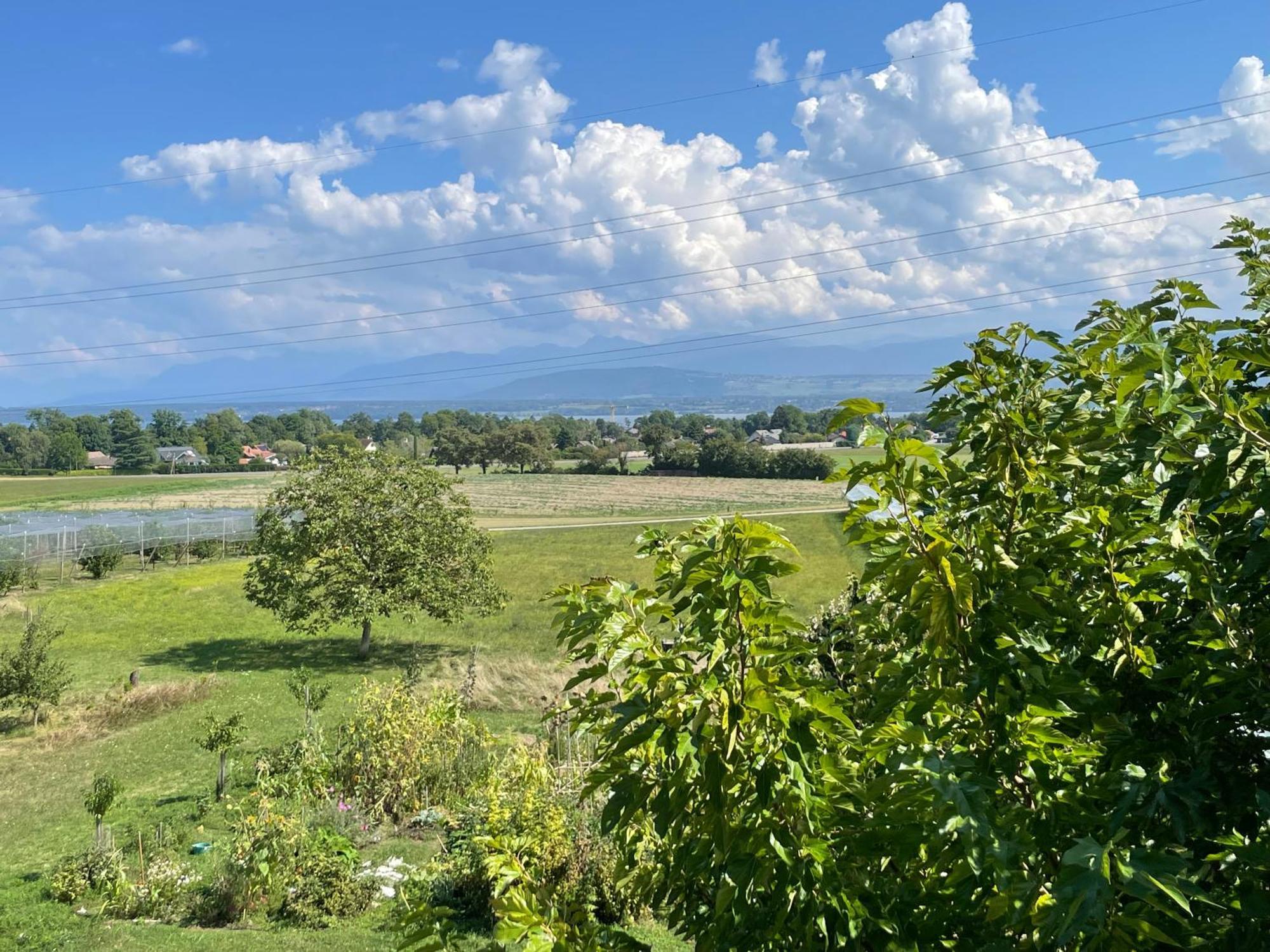 B&B Domaine En Trembley Commugny Экстерьер фото